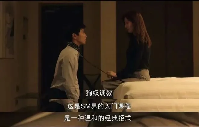 西檬之家-DS关系：字母圈中支配与臣服的实践指南