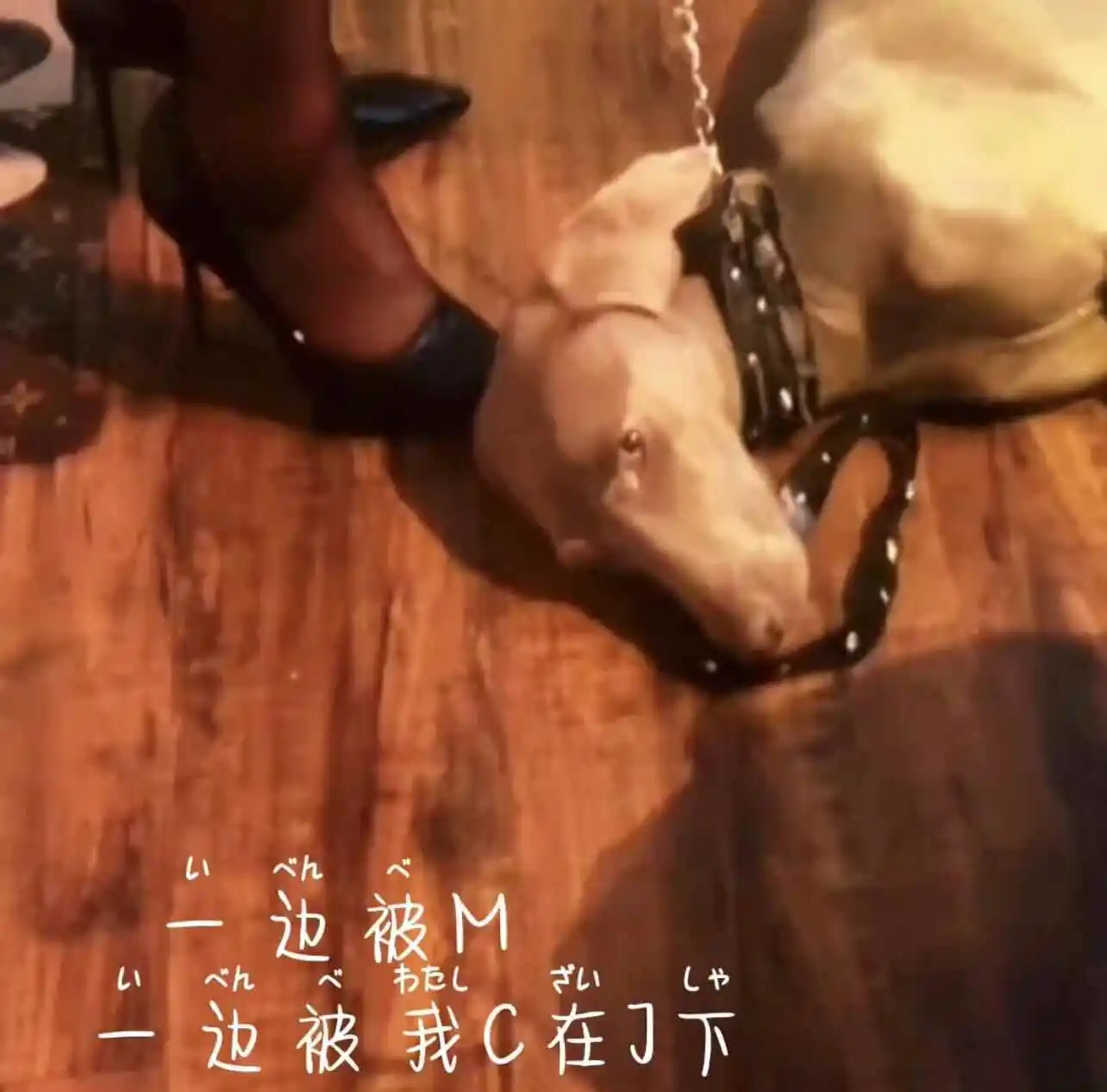 【西檬之家】字母圈新人入圈指南：读懂BDSM与SSC原则