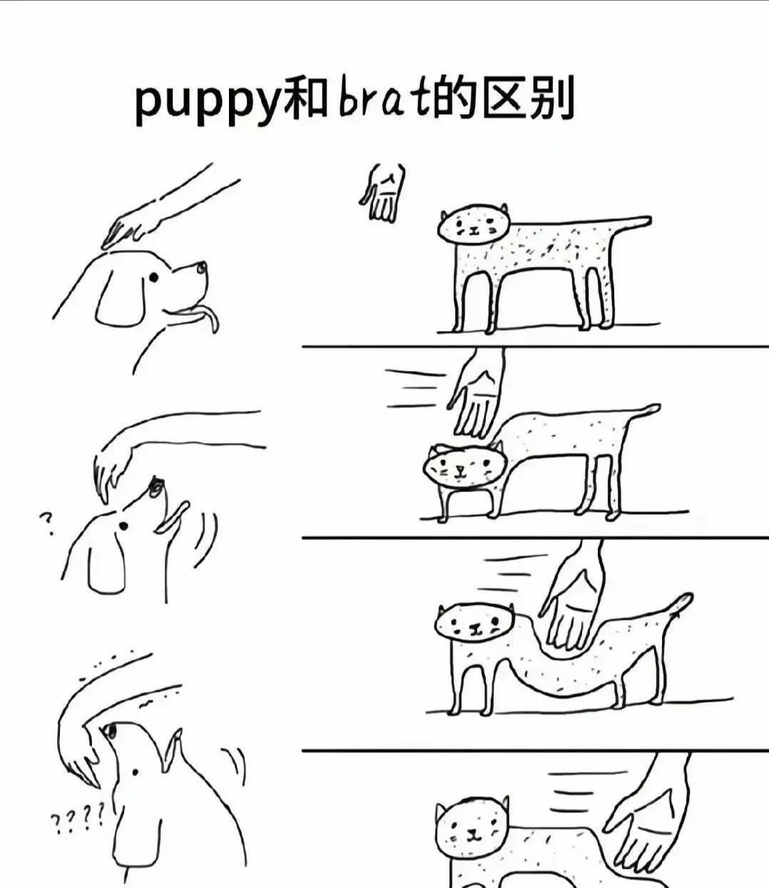 西檬之家-Sub是什么？字母圈新人入圈指南