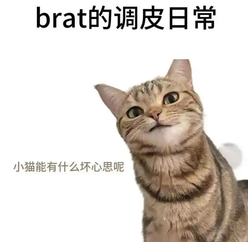 【西檬之家】字母圈的DOM是什么意思？