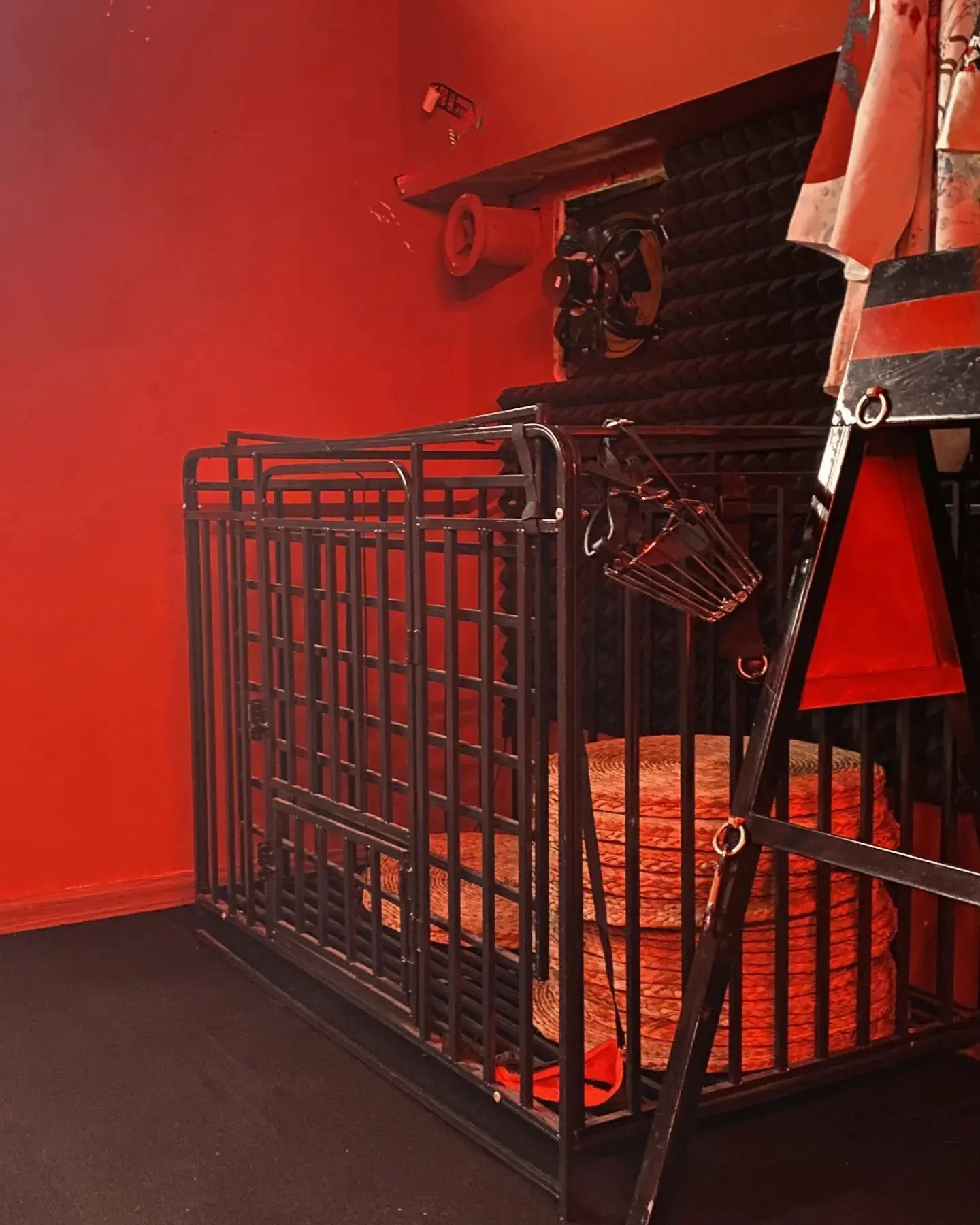 西檬之家-BDSM字母圈K8猫系角色扮演入门指南