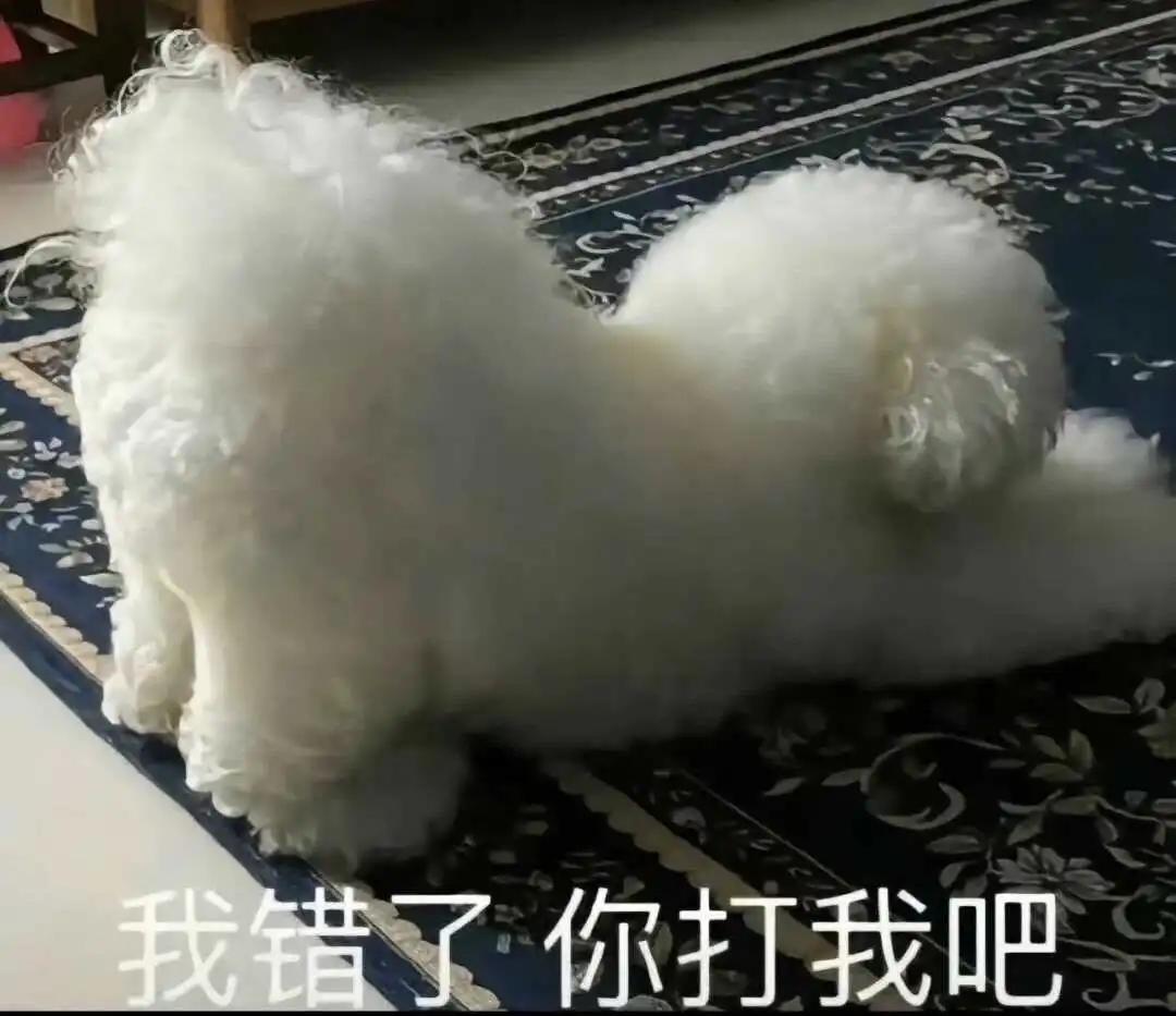西檬之家-BDSM中的Brat属性是什么意思？