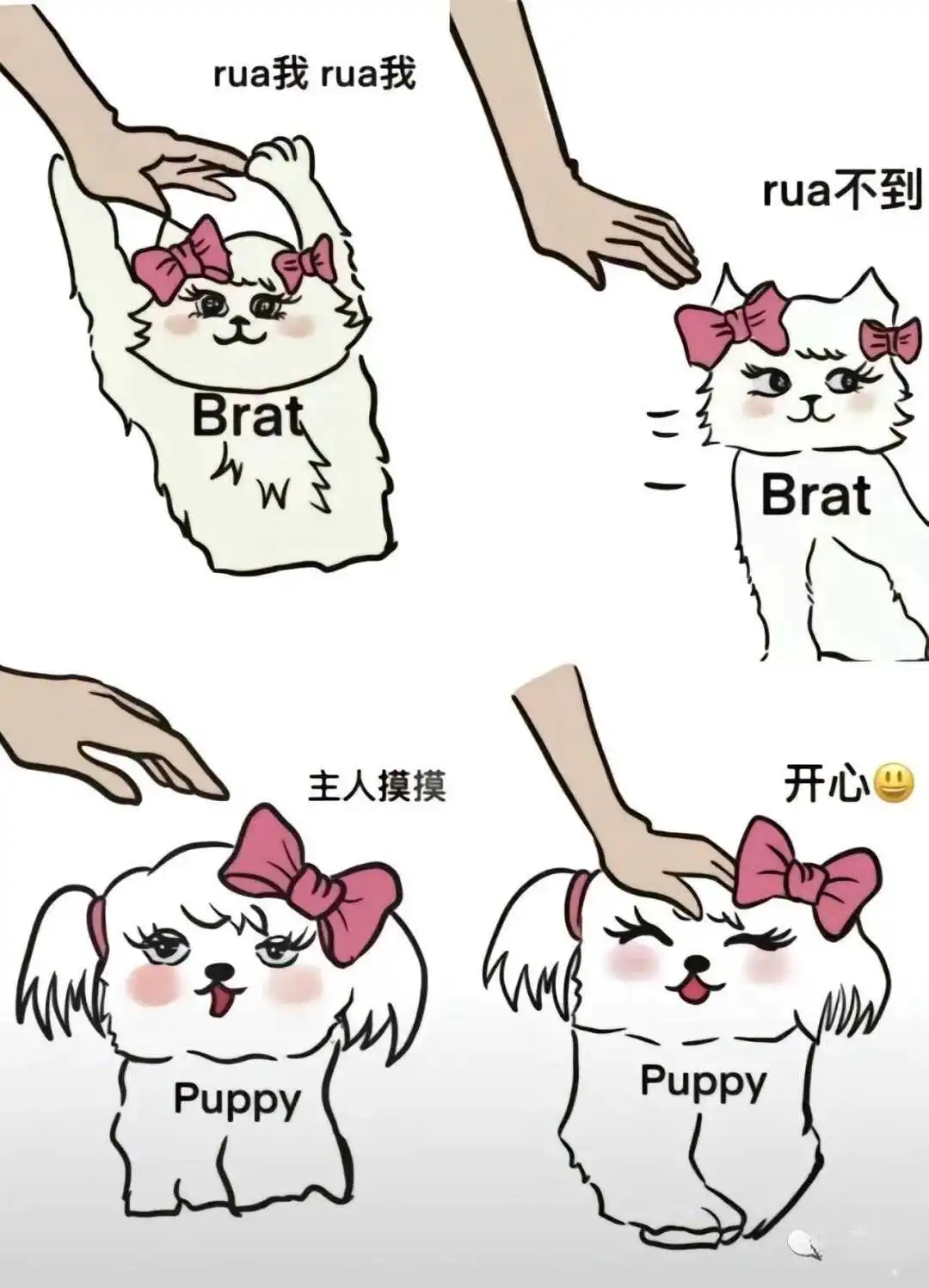女王 - 2023_12_05_21_27_IMG_9363