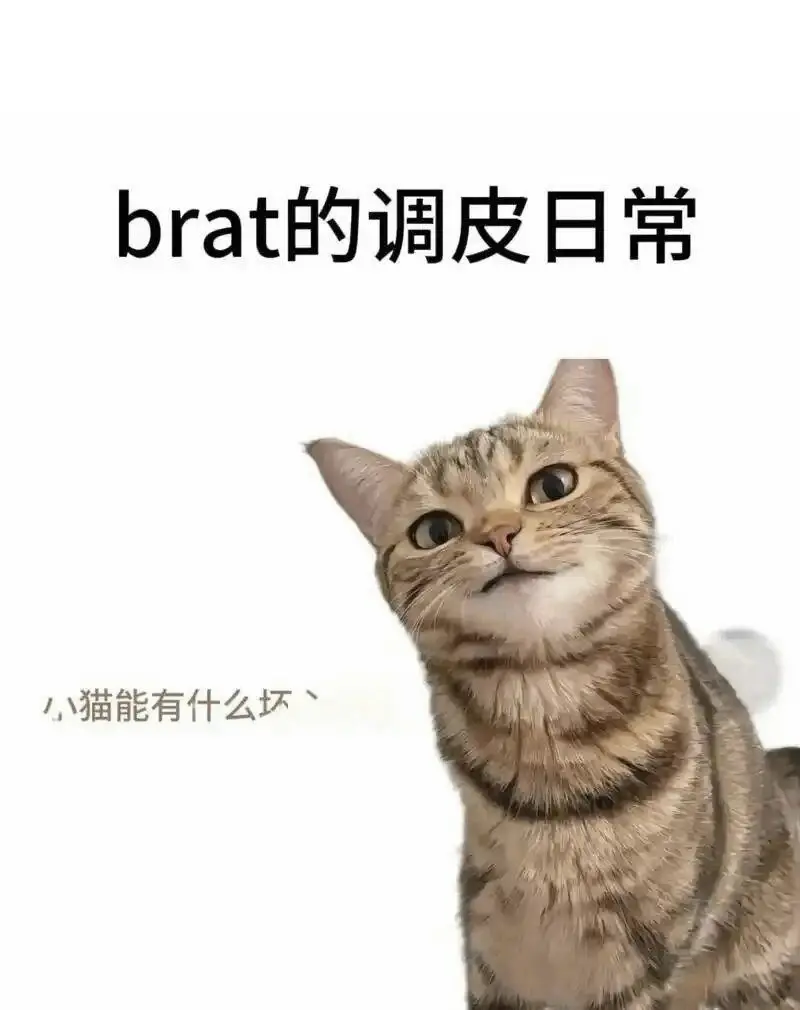 【西檬之家】圣水是什么意思？解析字母圈中圣水的定义与实践
