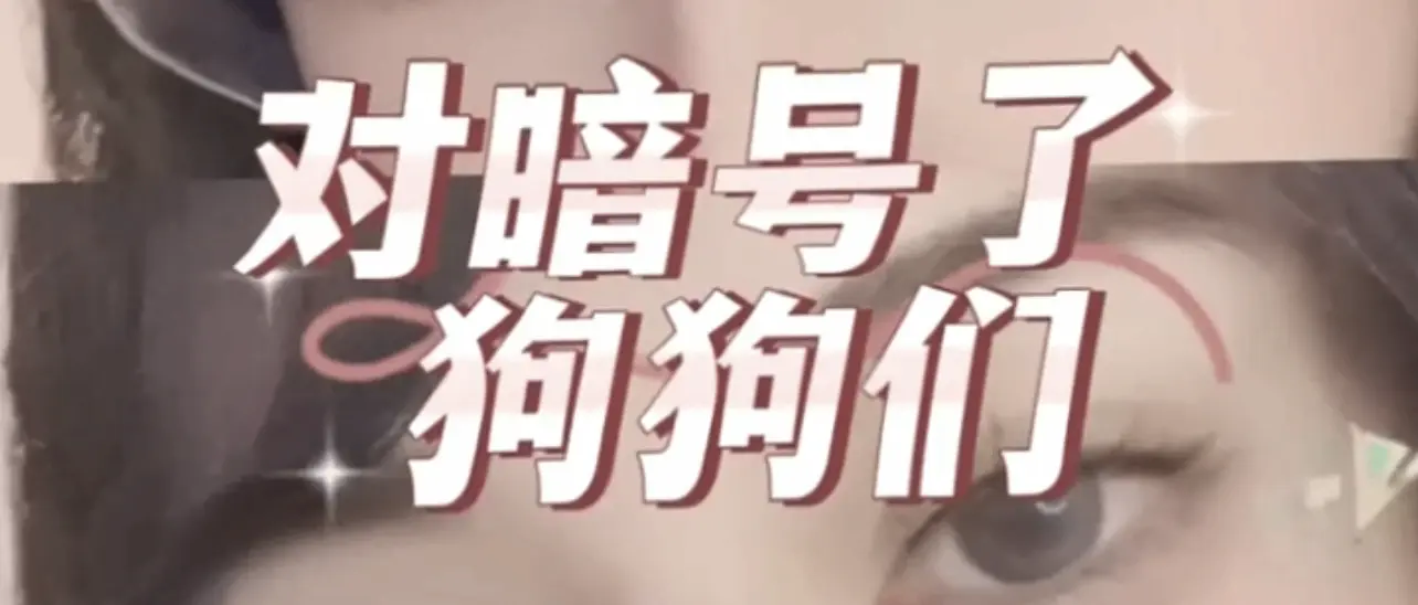 西檬之家-字母圈新手入门指南